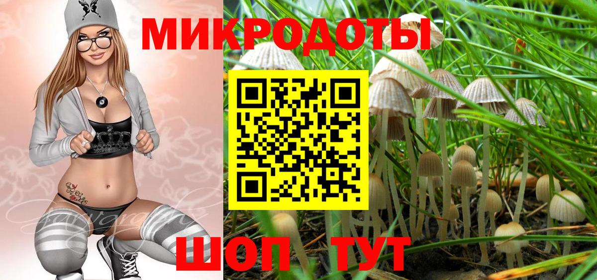 Кореновск  Галлюциногенные грибы прущие грибы  Вход с VPN  Псилоцибиновые грибы GOLDEN TEACHER 