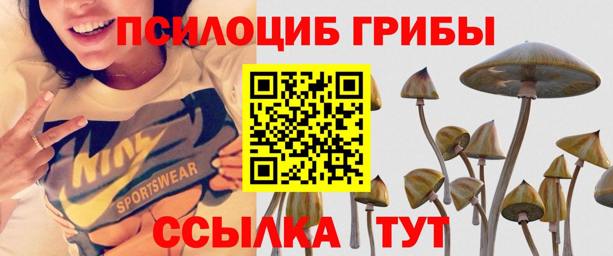 Псилоцибиновые грибы GOLDEN TEACHER Кореновск